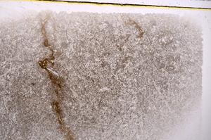 Plane Polarized, E42588