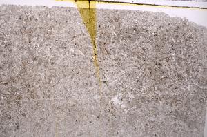Plane Polarized, E42589
