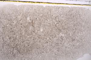 Plane Polarized, E42590