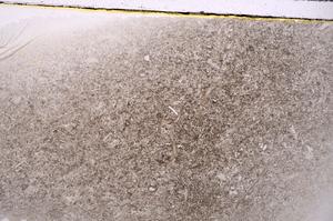Plane Polarized, E42591
