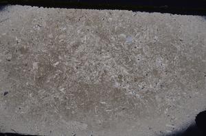 Cross Polarized, E42638