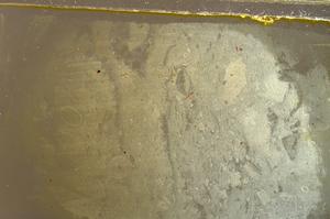 Plane Polarized, E42656