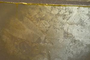 Plane Polarized, E42657