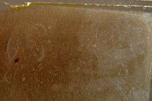 Plane Polarized, E42659