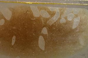 Plane Polarized, E42666