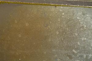 Plane Polarized, E42667