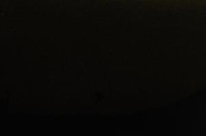 Cross Polarized, E42681