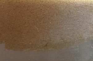 Plane Polarized, E42681