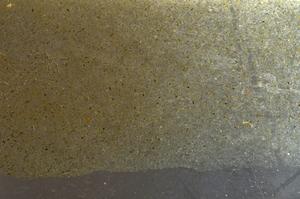 Plane Polarized, E42692