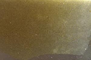 Plane Polarized, E42693