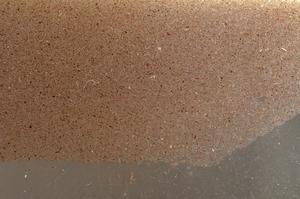Plane Polarized, E42694