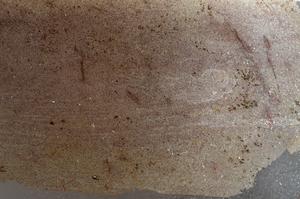 Plane Polarized, E42714