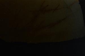 Cross Polarized, E42716