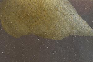 Plane Polarized, E42723