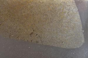 Plane Polarized, E42724