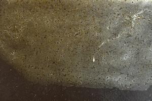 Plane Polarized, E42734