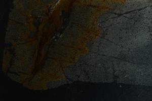 Cross Polarized, E42737