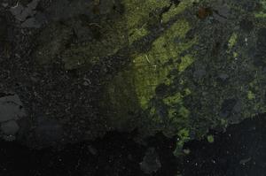 Cross Polarized, E42740