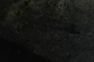Cross Polarized, E42765