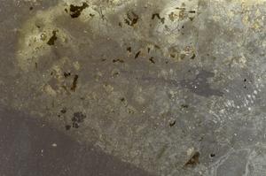 Plane Polarized, E42765