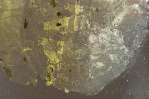 Plane Polarized, E42776/A