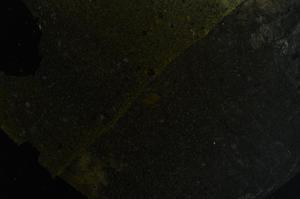 Cross Polarized, E42778