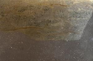 Plane Polarized, E42789