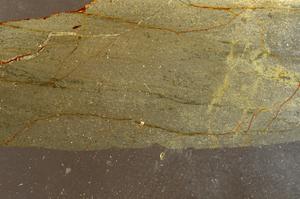 Plane Polarized, E42799