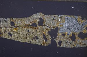 Cross Polarized, E42856