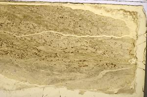 Plane Polarized, E42865