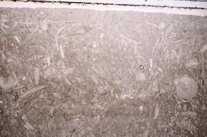 Plane Polarized, E42876