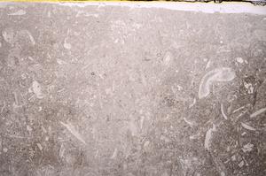 Plane Polarized, E42877
