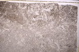 Plane Polarized, E42879