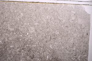 Plane Polarized, E42881
