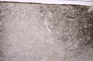 Plane Polarized, E42884