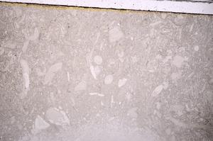 Plane Polarized, E42885