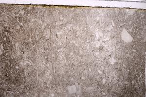 Plane Polarized, E42886