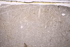 Plane Polarized, E42887