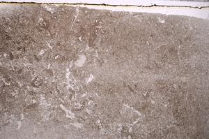 Plane Polarized, E42890