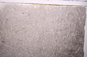 Plane Polarized, E42892