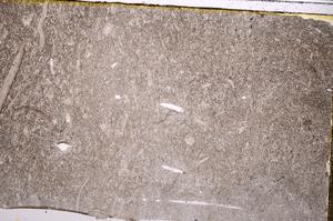 Plane Polarized, E42894