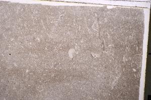 Plane Polarized, E42895