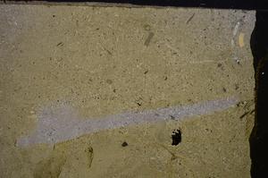 Cross Polarized, E42896