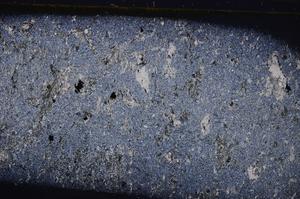 Cross Polarized, E42923