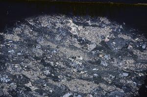 Cross Polarized, E42927