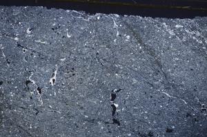 Cross Polarized, E42947