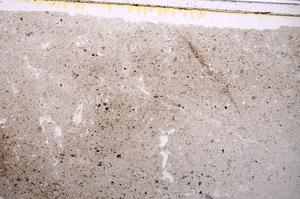 Plane Polarized, E42947