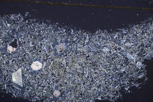 Cross Polarized, E42950