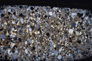 Cross Polarized, E42994