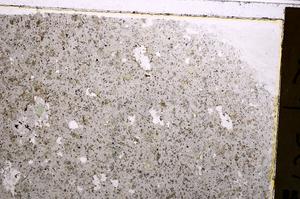 Plane Polarized, E43133